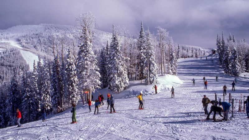 ski-langlauf